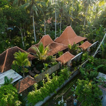 Jaya Villa Ubud Dış mekan fotoğraf