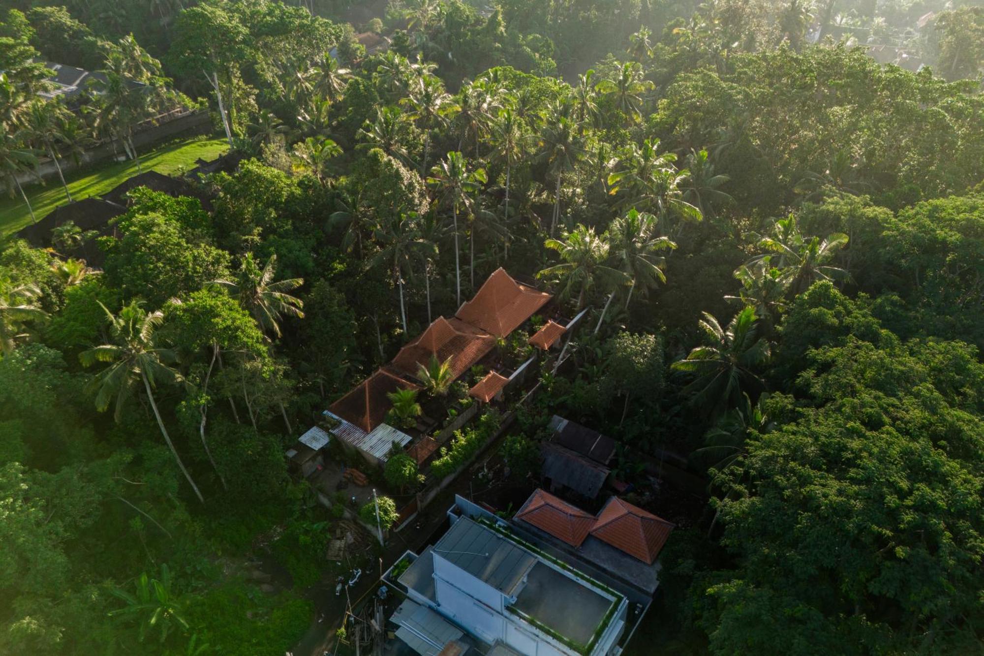Jaya Villa Ubud Dış mekan fotoğraf
